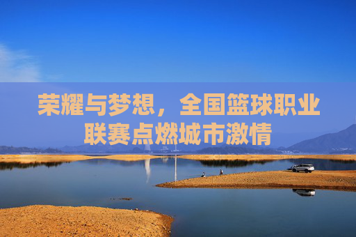 荣耀与梦想,全国篮球职业联赛点燃城市激情