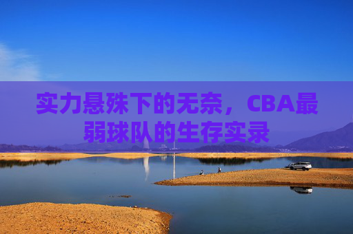实力悬殊下的无奈,CBA最弱球队的生存实录