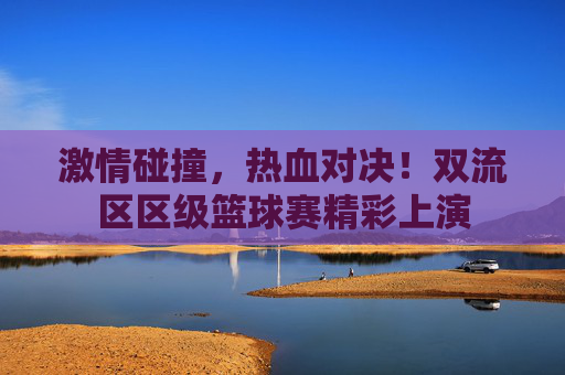 激情碰撞,热血对决!双流区区级篮球赛精彩上演