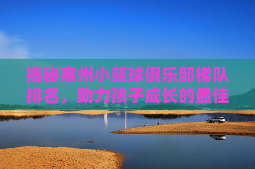 揭秘惠州小篮球俱乐部梯队排名,助力孩子成长的最佳选择