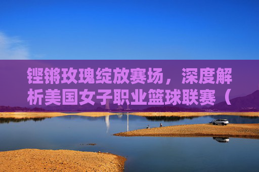 铿锵玫瑰绽放赛场,深度解析美国女子职业篮球联赛(WNBA)的崛起与影响力