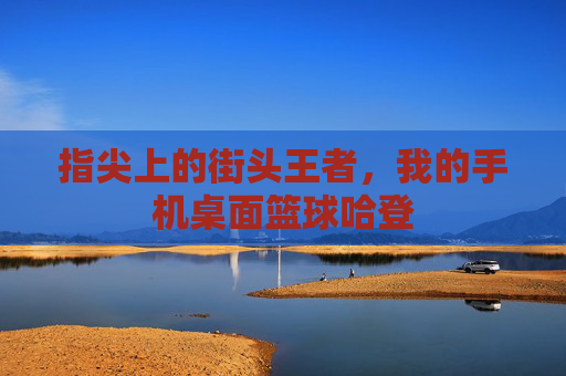 指尖上的街头王者，我的手机桌面篮球哈登