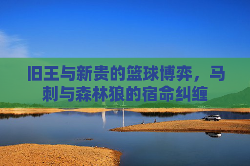 旧王与新贵的篮球博弈,马刺与森林狼的宿命纠缠