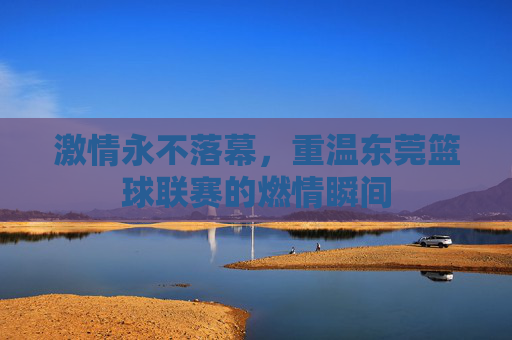 激情永不落幕,重温东莞篮球联赛的燃情瞬间
