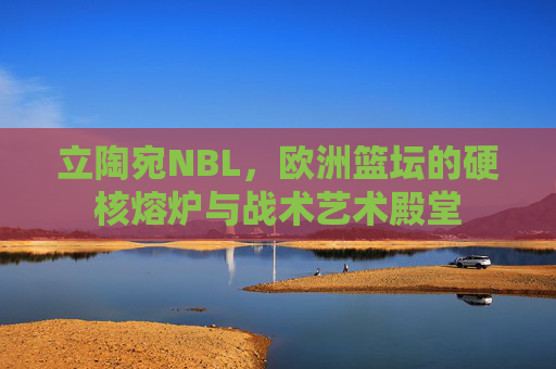 立陶宛NBL,欧洲篮坛的硬核熔炉与战术艺术殿堂