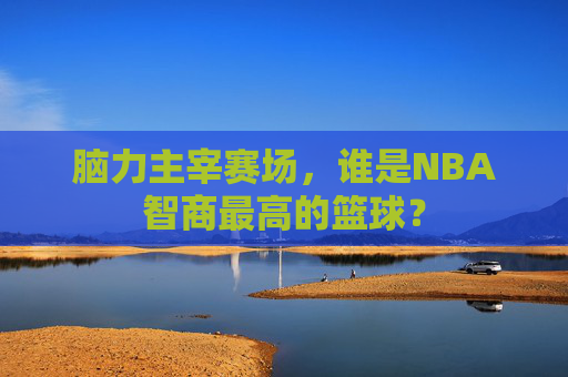 脑力主宰赛场，谁是NBA智商最高的篮球？