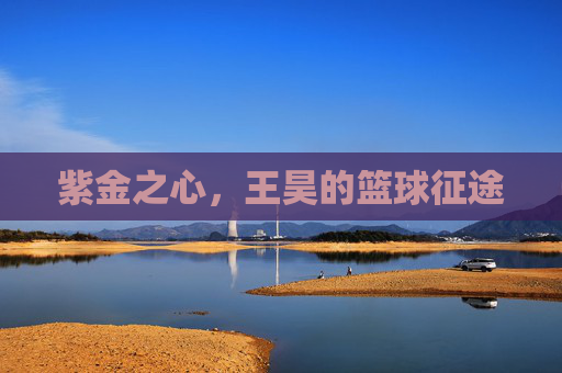 紫金之心，王昊的篮球征途