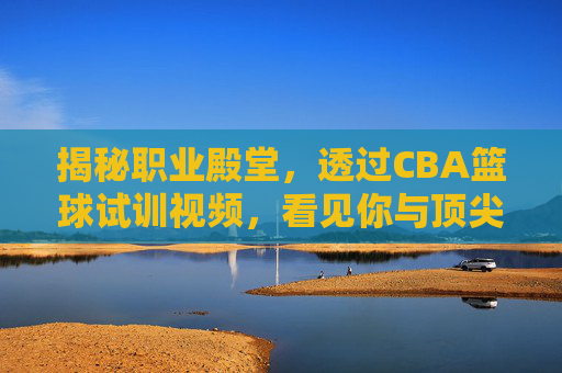 揭秘职业殿堂,透过CBA篮球试训视频,看见你与顶尖球员的差距