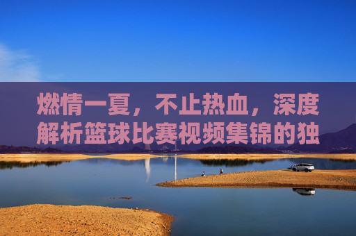 燃情一夏，不止热血，深度解析篮球比赛视频集锦的独特魅力