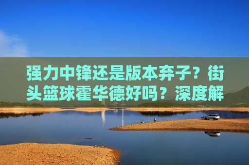 强力中锋还是版本弃子?街头篮球霍华德好吗?深度解析