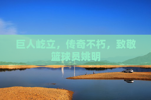 巨人屹立,传奇不朽,致敬篮球员姚明