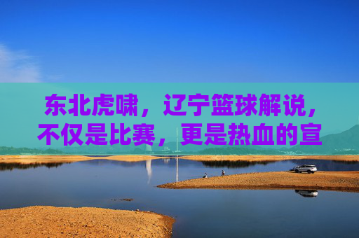 东北虎啸，辽宁篮球解说，不仅是比赛，更是热血的宣泄与地域的骄傲