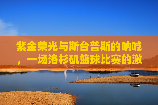 紫金荣光与斯台普斯的呐喊,一场洛杉矶篮球比赛的激情实录