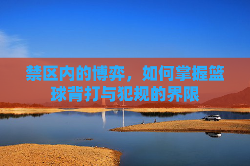禁区内的博弈,如何掌握篮球背打与犯规的界限