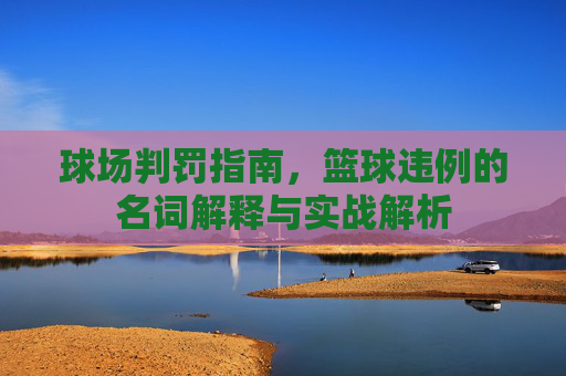 球场判罚指南,篮球违例的名词解释与实战解析