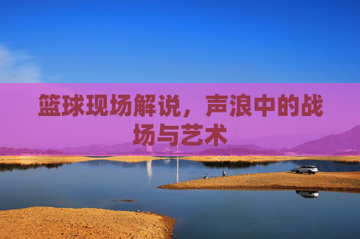 篮球现场解说,声浪中的战场与艺术