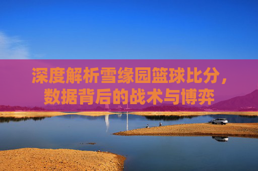 深度解析雪缘园篮球比分，数据背后的战术与博弈