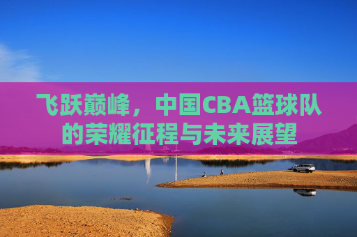 飞跃巅峰,中国CBA篮球队的荣耀征程与未来展望