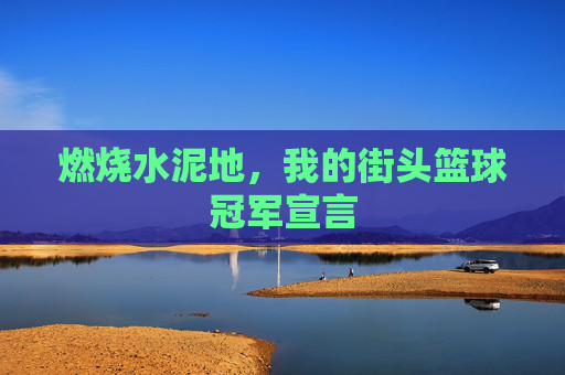 燃烧水泥地,我的街头篮球冠军宣言