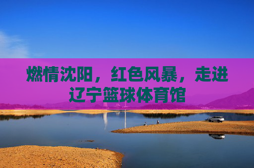 燃情沈阳,红色风暴,走进辽宁篮球体育馆