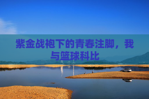 紫金战袍下的青春注脚，我与篮球科比
