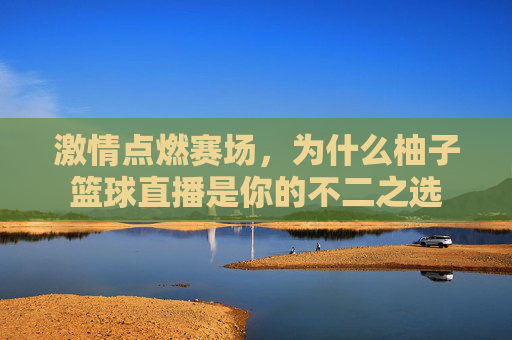 激情点燃赛场,为什么柚子篮球直播是你的不二之选