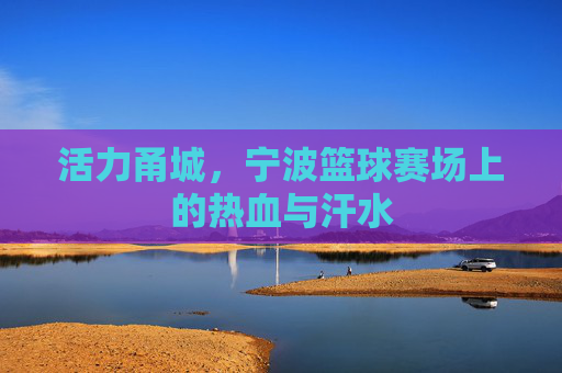 活力甬城，宁波篮球赛场上的热血与汗水