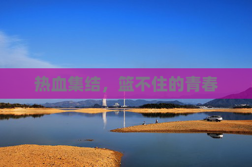 热血集结，篮不住的青春
