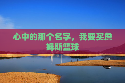 心中的那个名字,我要买詹姆斯篮球