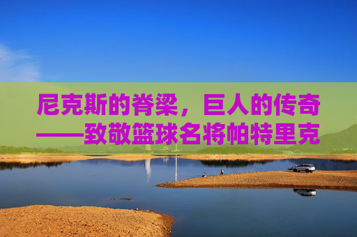 尼克斯的脊梁,巨人的传奇——致敬篮球名将帕特里克·尤因