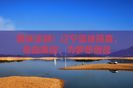 激战正酣！辽宁篮球预赛，热血集结，为梦想而战