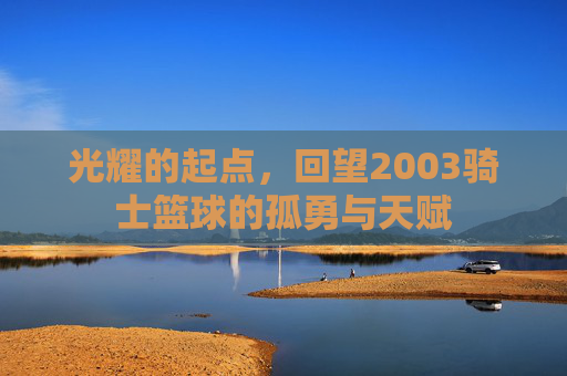 光耀的起点,回望2003骑士篮球的孤勇与天赋