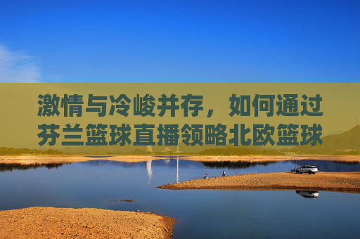 激情与冷峻并存,如何通过芬兰篮球直播领略北欧篮球的独特魅力
