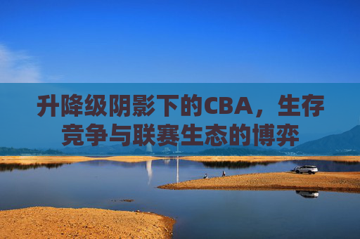 升降级阴影下的CBA,生存竞争与联赛生态的博弈