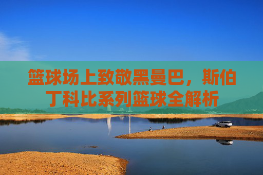 篮球场上致敬黑曼巴,斯伯丁科比系列篮球全解析