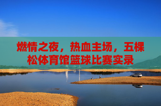 燃情之夜,热血主场,五棵松体育馆篮球比赛实录