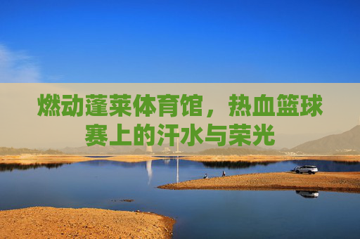 燃动蓬莱体育馆,热血篮球赛上的汗水与荣光