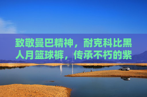 致敬曼巴精神,耐克科比黑人月篮球裤,传承不朽的紫金荣光