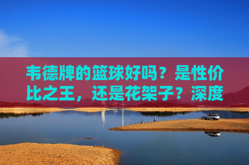 韦德牌的篮球好吗?是性价比之王,还是花架子?深度测评告诉你