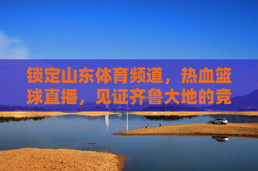 锁定山东体育频道,热血篮球直播,见证齐鲁大地的竞技激情