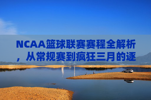 NCAA篮球联赛赛程全解析,从常规赛到疯狂三月的逐梦之旅