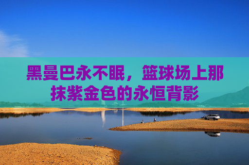 黑曼巴永不眠,篮球场上那抹紫金色的永恒背影