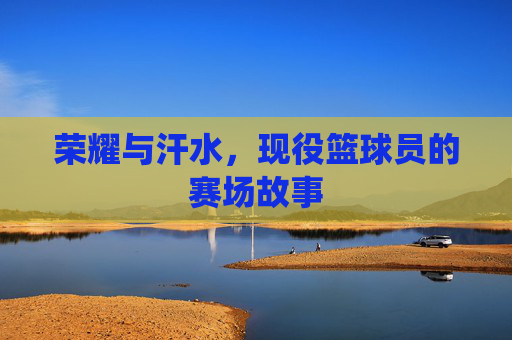 荣耀与汗水,现役篮球员的赛场故事