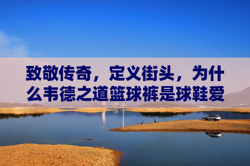 致敬传奇,定义街头,为什么韦德之道篮球裤是球鞋爱好者的必备单品