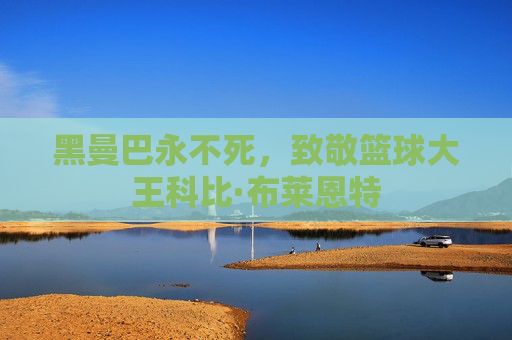 黑曼巴永不死,致敬篮球大王科比·布莱恩特