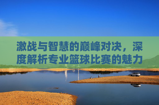 激战与智慧的巅峰对决,深度解析专业篮球比赛的魅力与竞技