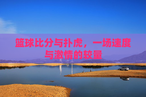 篮球比分与扑虎,一场速度与激情的较量