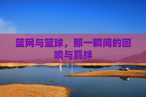 篮网与篮球,那一瞬间的回响与羁绊
