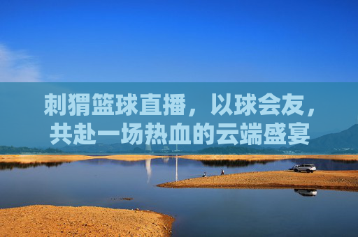 刺猬篮球直播，以球会友，共赴一场热血的云端盛宴