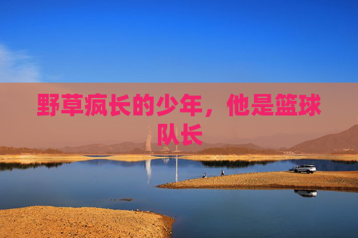 野草疯长的少年,他是篮球队长